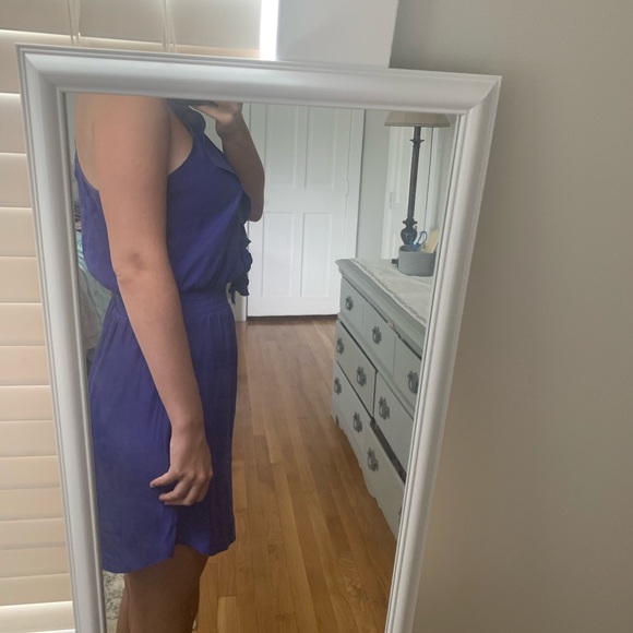 American Eagle Silk Ruffle Dress - Picture 7 of 7